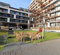 Wohnkomplex in der Zuzana-Chalupová-Straße in Bratislava - Petržalka mit gestaltetem Innenhof.