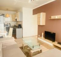 Wohnzimmer in einer 2-Zimmer-Wohnung mit Sofa, Fernseher, Küche und Holzboden.