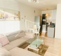 Wohnzimmer mit Sofa und Küche, 2-Zimmer-Wohnung, Holzboden.