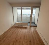 Wohnzimmer in einer Einzimmerwohnung mit Holzboden und großen Fenstern.