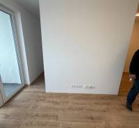 Innenraum in einer 1-Zimmer-Wohnung mit Holzboden und Balkon.