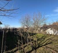 Baugrundstück in der Friedhofstraße in Svätý Peter mit Obstbäumen.