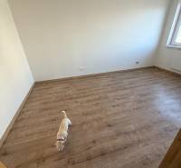 Ein Zimmer in einer 2-Zimmer-Wohnung mit Holzboden und einem kleinen Hund.