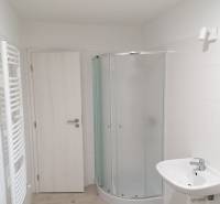 Badezimmer mit Toilette, Dusche und Boden mit Holzdekor in einem Einfamilienhaus.