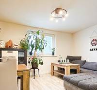 Wohnzimmer mit Sofa, Esstisch, Zimmerpflanzen und Boden mit Holzdekor.