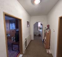 Der Flur mit Teppich und Zimmerpflanzen im Einfamilienhaus.