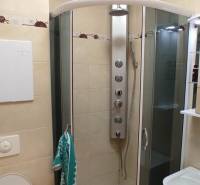 Badezimmer in einer Einzimmerwohnung mit Eckdusche, Waschbecken und WC.