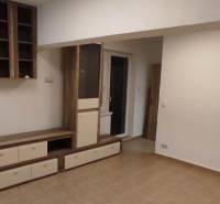 Wohnzimmer einer Einzimmerwohnung mit Möbeln und Boden in Holzoptik.