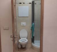 Badezimmer in einer Einzimmerwohnung mit Toilette, Duschkabine und Fliesen.