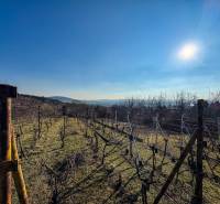 Weinberge in Nitra in der Ambrova-Straße, ein sonniger Tag mit klarem Himmel und Blick auf die Hügel.
