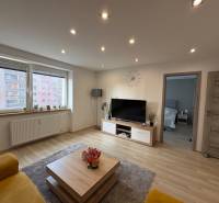 Helles Wohnzimmer in einer 2-Zimmer-Wohnung mit Holzboden und Sofa.