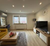 Wohnzimmer in einer 2-Zimmer-Wohnung mit Holzboden, Sofa und Fernseher.