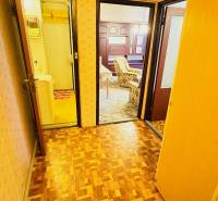 Flur in einer 2-Zimmer-Wohnung mit Holzboden und Türen zu den Zimmern.