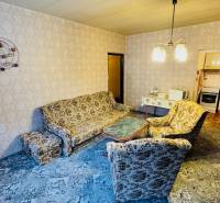 Wohnzimmer mit Retro-Sofa, gemusterter Teppich, Zugang zur Küche in einer 2-Zimmer-Wohnung.