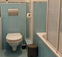Badezimmer in einer 2-Zimmer-Wohnung mit blauen Fliesen, hängendem WC und Badewanne mit Duschabtrennung.