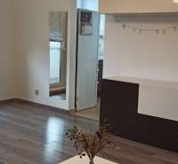 Wohnzimmer in einer 2-Zimmer-Wohnung mit Holzboden und Möbeln.