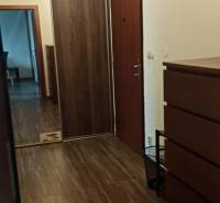 Der Flur in der 2-Zimmer-Wohnung mit einem Boden in Holzoptik, einem Einbauschrank und einem Spiegelelement.