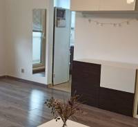 Wohnzimmer in einer Zweizimmerwohnung mit Holzboden und Zugang zum Balkon.