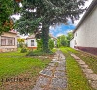 9 - 2025-08-05T153729.385.jpg