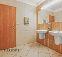 12 - 2025-09-22T100208.860.jpg