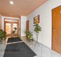 9 - 2025-09-22T100214.313.jpg