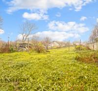 7 - 2025-11-21T095012.920.jpg