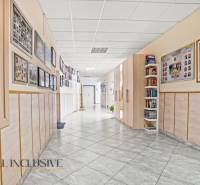 13 - 2025-12-09T103221.102.jpg