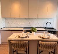 Küche mit Bartresen, Holzboden und hellem Mobiliar in einer Zweizimmerwohnung.