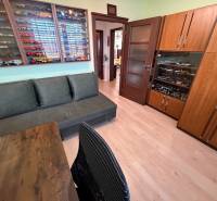 Ein Zimmer mit einem Sofa, einer Vitrine mit Modellen und einem Boden mit Holzdekor in einer 3-Zimmer-Wohnung.