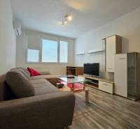 Wohnzimmer einer Zweizimmerwohnung mit Ecksofa und Boden in Holzoptik.