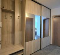 Schrank mit Spiegel und Kleiderhaken im Flur einer Zweizimmerwohnung mit Boden in Holzoptik.