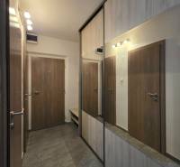 Der Flur in einer 2-Zimmer-Wohnung mit einem großen Spiegelschrank und braunen Türen.