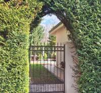 Eine Hecke mit einem Tor in einem Einfamilienhaus in Komárno führt in den Garten.