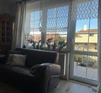 Ledersofa und Fenster mit Spitzenvorhängen in einem Einfamilienhaus mit Holzboden.