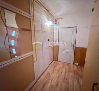 Flur in einer 3-Zimmer-Wohnung mit Holzboden, Spiegel und Einbauschrank.