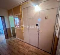 Der Flur in einer 3-Zimmer-Wohnung mit Garderobe, Spiegel und Innentüren.