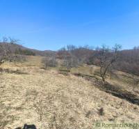 Kopcovité Gärten in der Umgebung von Nová Baňa mit kahlen Bäumen und blauem Himmel.