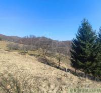 Hügelige Landschaft in den Gärten bei Nová Baňa mit Grasflächen und Bäumen.