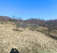 Hügelige Landschaft in den Gärten in Nová Baňa mit vereinzelten Bäumen und blauem Himmel.