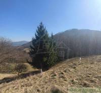 Landschaft mit Bäumen und Hügeln in der Umgebung von Nová Baňa in den Gärten.