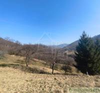 Die natürliche Landschaft in der Umgebung von Nová Baňa mit Bäumen und Hügeln in Záhrady.