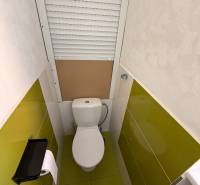 Badezimmer in einer 2-Zimmer-Wohnung mit grünen Fliesen und Toilette.