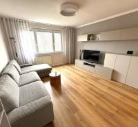 Wohnzimmer einer 3-Zimmer-Wohnung mit Sofa und Holzboden.