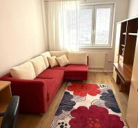 Ein Zimmer in einer 3-Zimmer-Wohnung mit einem roten Sofa, einem Teppich und einem Boden mit Holzdekor.