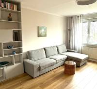 Wohnzimmer einer 3-Zimmer-Wohnung mit grauem Sofa, Regal und Boden in Holzoptik.