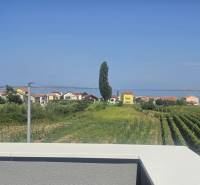 Blick von der Villa in Zukve, Vrsi auf das Meer, Häuser und Weinberge im Hintergrund.