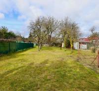Garten im Einfamilienhaus in der Kalinčiakova-Straße in Michalovce mit Rasen und Bäumen.