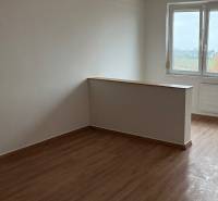 Ein Zimmer in einer 2-Zimmer-Wohnung mit einem Boden in Holzoptik und einem Blick aus dem Fenster.