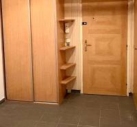 Eingangsbereich einer 2-Zimmer-Wohnung mit Holzboden und geräumigem Schrank.
