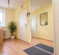 Heller Flur mit Holzboden, Spiegel und Zimmerpflanzen in einer 2-Zimmer-Wohnung.